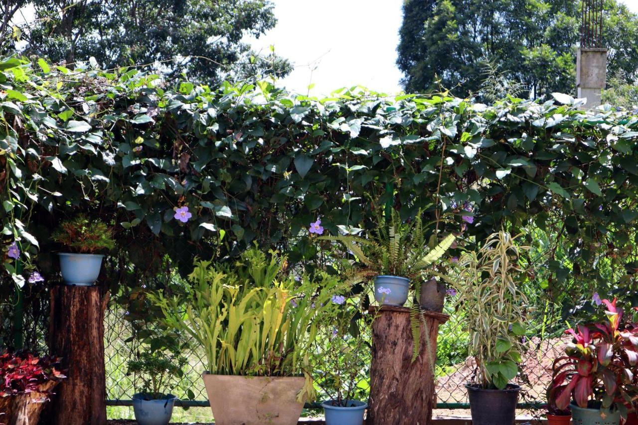 Ella Touch Bed & Breakfast Exterior foto